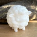 Chú Cừu Nhỏ Dễ Thương (Cute Little Sheep) - Thumbnail 2