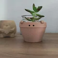 Peeko - Chậu trồng cây dễ thương - Thumbnail 4