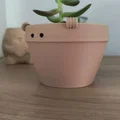 Peeko - Chậu trồng cây dễ thương - Thumbnail 6