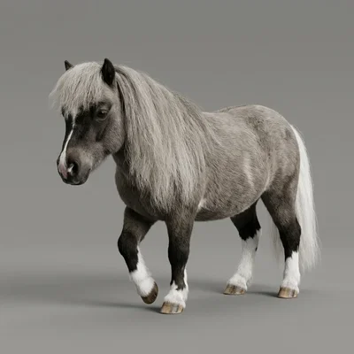 Mô hình chú ngựa nhỏ (Miniature Pony) cực xinh để in 3D