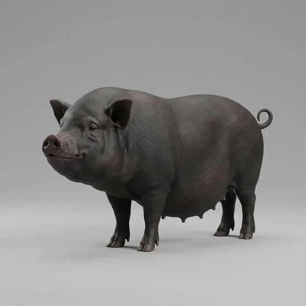 Mô hình chú heo ỉn (Pot Bellied Pig) in 3D trang trí độc đáo - Image 1