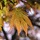 SantiAguilera_540406