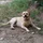 SilvanLeeman_3265762
