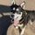 shoyler_79369