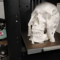 Mô hình hộp sọ Abraham Lincoln (AB-Skull) - File in 3D lịch sử - Thumbnail 1