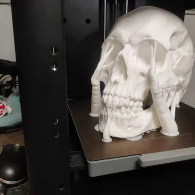 Mô hình hộp sọ Abraham Lincoln (AB-Skull) - File in 3D lịch sử
