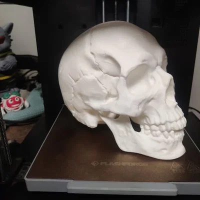 Mô hình hộp sọ Abraham Lincoln (AB-Skull) - File in 3D lịch sử