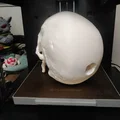 Mô hình hộp sọ Abraham Lincoln (AB-Skull) - File in 3D lịch sử - Thumbnail 3