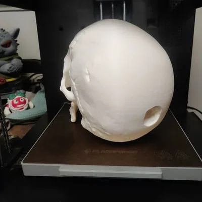 Mô hình hộp sọ Abraham Lincoln (AB-Skull) - File in 3D lịch sử