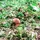MicheleBucov_1691106
