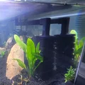 Bộ ống hút Marineland Bio-Wheel và đầu chuyển đổi prefilter lớn - Thumbnail 1