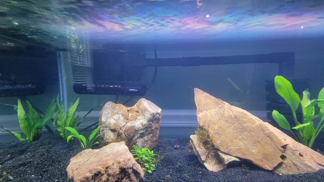 Bộ ống hút Marineland Bio-Wheel và đầu chuyển đổi prefilter lớn - Image 2