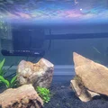 Bộ ống hút Marineland Bio-Wheel và đầu chuyển đổi prefilter lớn - Thumbnail 2