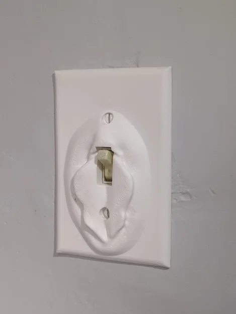 Nắp Công Tắc Đèn 'Flickable' Độc Đáo - Image 1