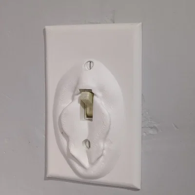 Nắp Công Tắc Đèn 'Flickable' Độc Đáo