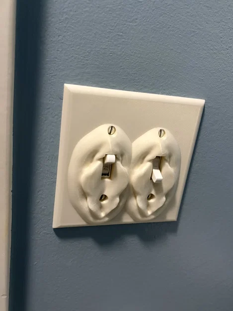 Mặt Nạ Công Tắc Đôi Flickable - Image 1