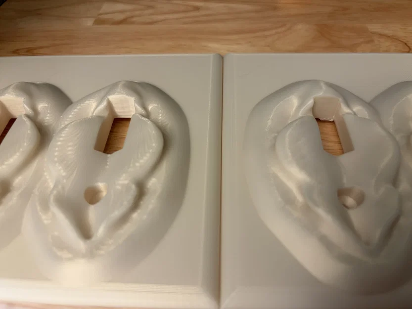 Mặt Nạ Công Tắc Đôi Flickable - Image 3