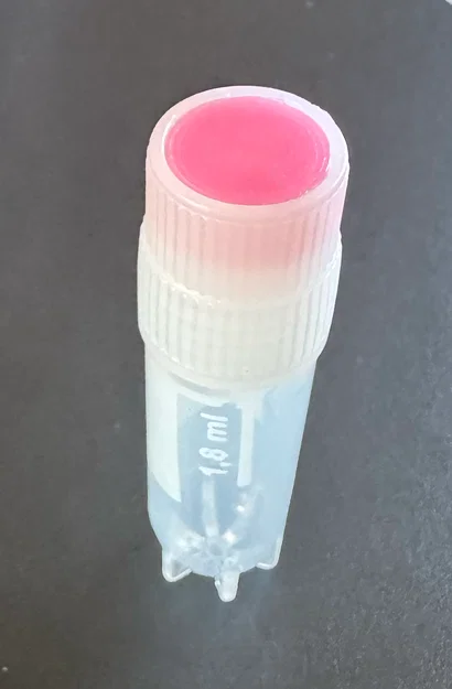 Nút màu nắp ống Cryovial Nunc 1.8mL (375418) cho lưu trữ LN2 - Image 2