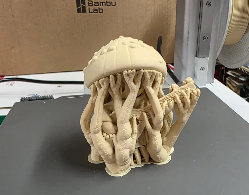 Mushroom Bard - Bộ sưu tập Shooms! - Image 7