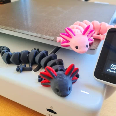Mô hình Axolotl khớp nối (Đa sắc màu)