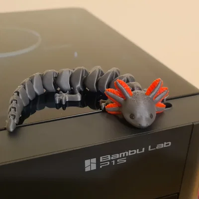 Mô hình Axolotl khớp nối (Đa sắc màu)