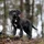 CarsonMiller_636678