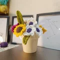 Chậu Cây Họa Tiết Đan Móc (Crochet Style Planter Pot) - Thumbnail 2