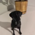 Tượng điêu khắc chó Labrador tối giản, Mô hình Labrador trang trí - Thumbnail 4