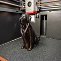 Tượng điêu khắc chó Labrador tối giản, Mô hình Labrador trang trí - Thumbnail 8
