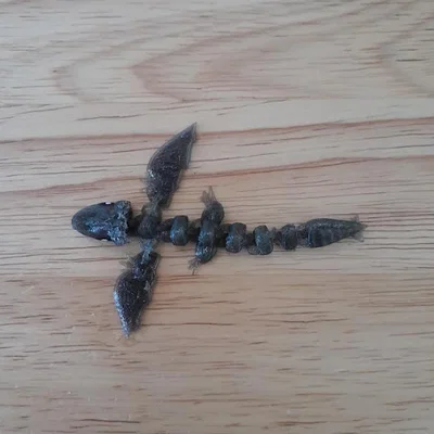 Mô hình Rồng khớp nối (Articulated Dragon)
