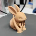 Chú thỏ nhỏ Tiny Bunny - Thumbnail 6