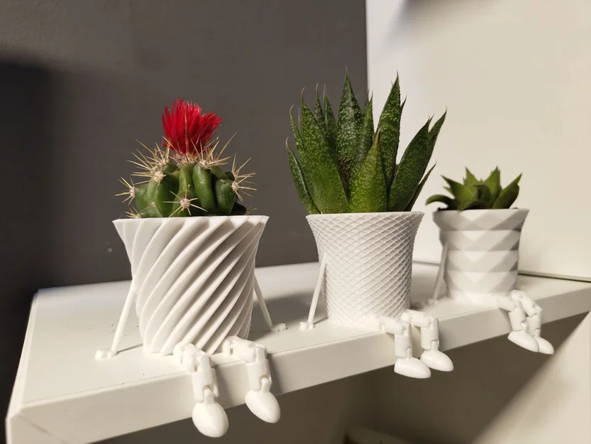 Bộ sưu tập chậu cây xương rồng mini có khớp nối trang trí 3D - Image 1