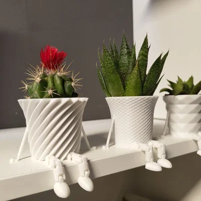Bộ sưu tập chậu cây xương rồng mini có khớp nối trang trí 3D