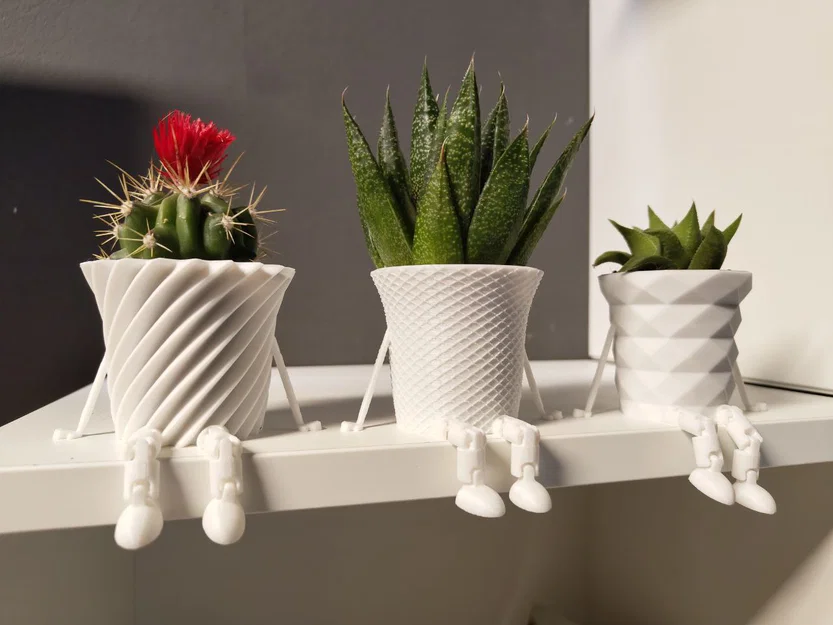Bộ sưu tập chậu cây xương rồng mini có khớp nối trang trí 3D - Image 2