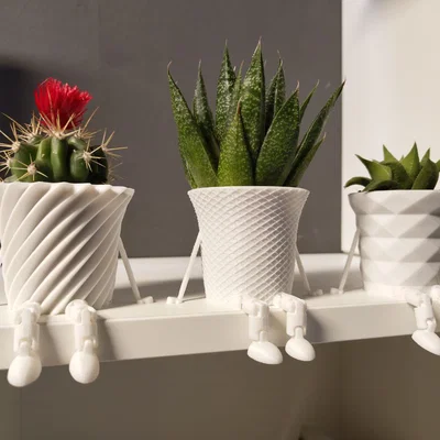 Bộ sưu tập chậu cây xương rồng mini có khớp nối trang trí 3D