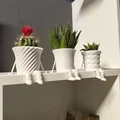 Bộ sưu tập chậu cây xương rồng mini có khớp nối trang trí 3D - Thumbnail 3