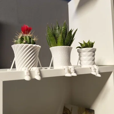 Bộ sưu tập chậu cây xương rồng mini có khớp nối trang trí 3D
