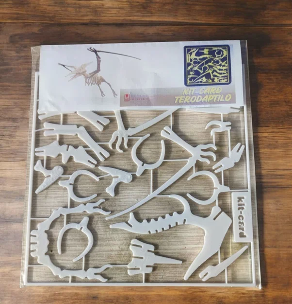 Mô hình lắp ráp khủng long Terodaptilo Kit-Card cực thú vị - Image 2