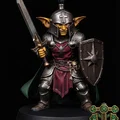 Mô hình Goblin Paladin - Thumbnail 2