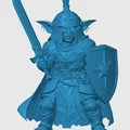 Mô hình Goblin Paladin - Thumbnail 5