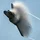 JonathanBerc_4055062