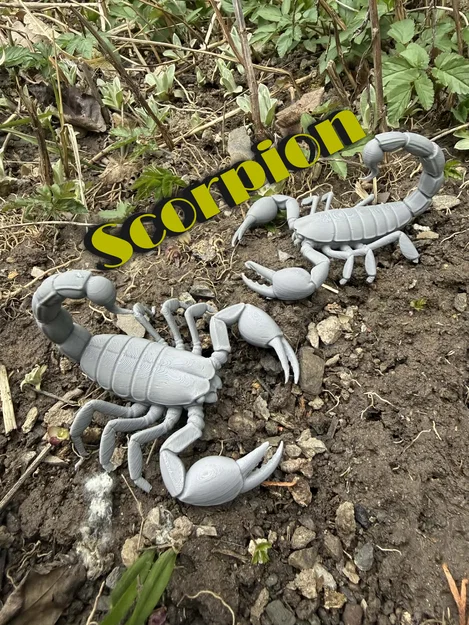 Bọ cạp, mô hình bọ cạp có càng - Image 1