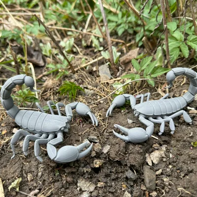 Bọ cạp, mô hình bọ cạp có càng