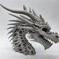 Tượng Đầu Rồng Xương 3 (Skeletal Dragon Bust 3) - Thumbnail 1