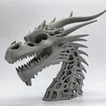 Tượng Đầu Rồng Xương 3 (Skeletal Dragon Bust 3) - Thumbnail 2