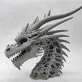 Tượng Đầu Rồng Xương 3 (Skeletal Dragon Bust 3) - Thumbnail 4
