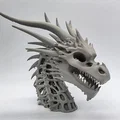 Tượng Đầu Rồng Xương 3 (Skeletal Dragon Bust 3) - Thumbnail 7