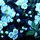 June_3370452
