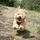 FunctionalBy_1132394