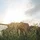 BinaryBear_1552672
